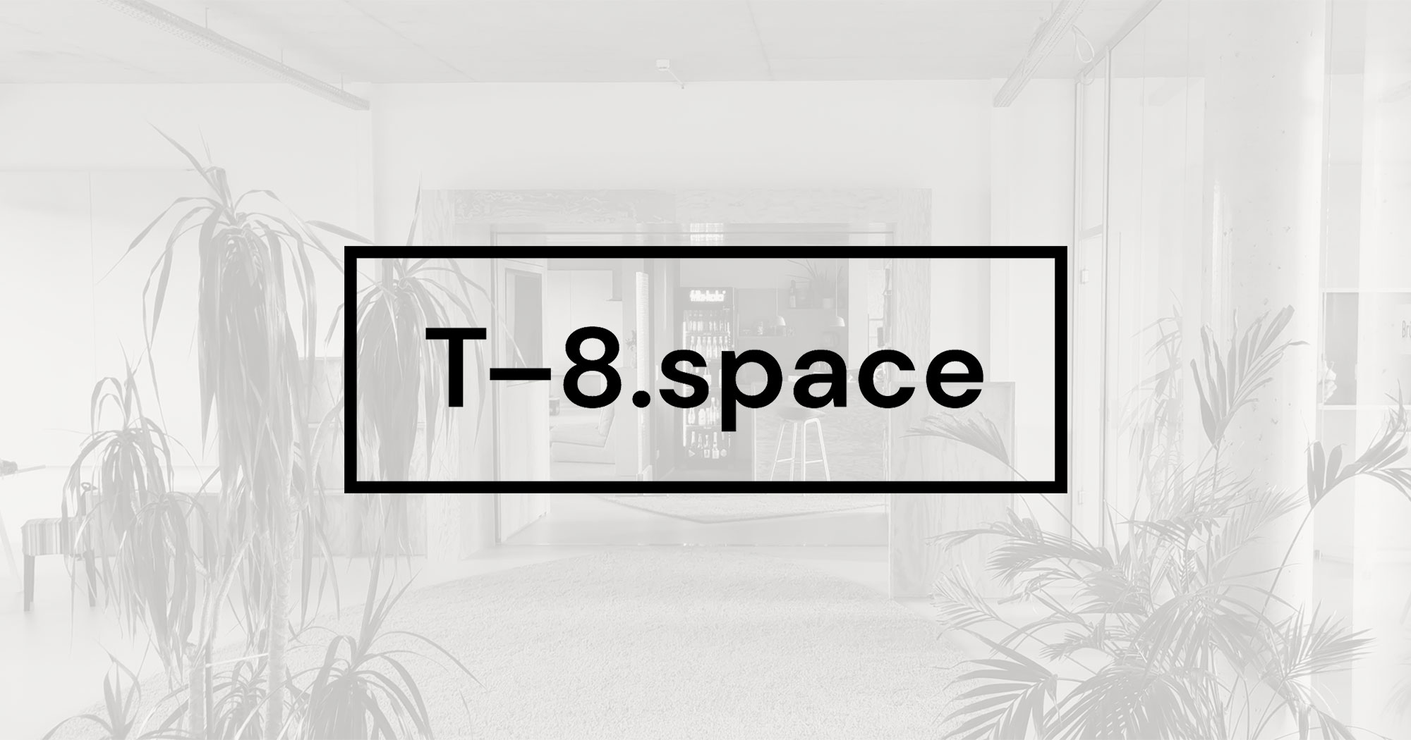 (c) T-8.space